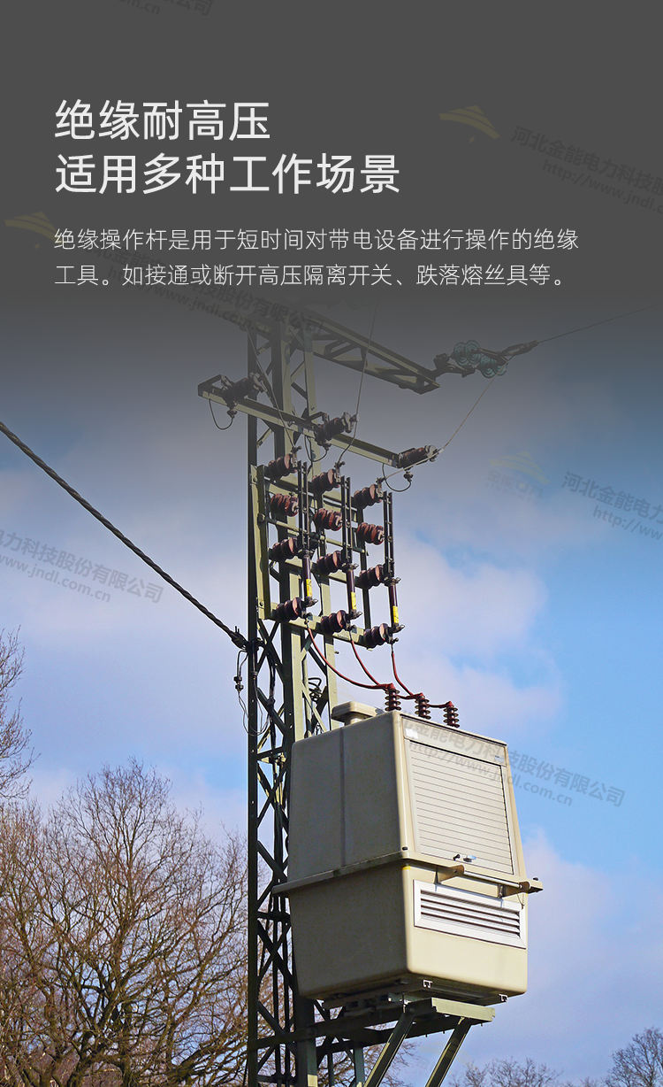 31-22032413443SL.jpg