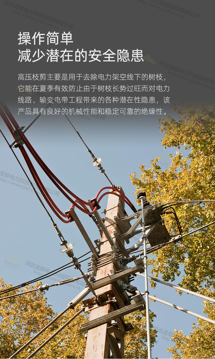 31-220324135224a4.jpg